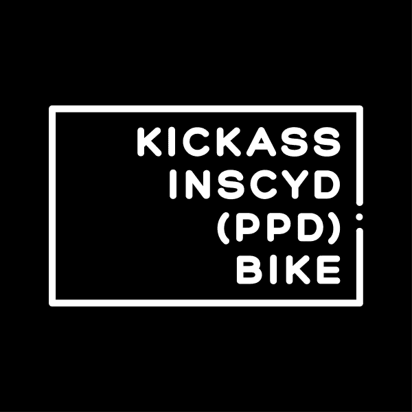 KickAss, INSCYD Power Performance Decoder, Bike