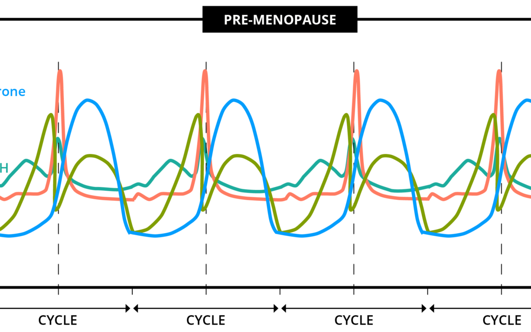 Triathlon training during menopause – Guidance to using the full female potential